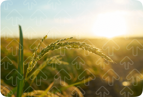 Capture Decran 2025 12 01 A 17.21.39 6 3